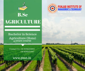 Top bsc agriculture institutes in punjab | PIMT