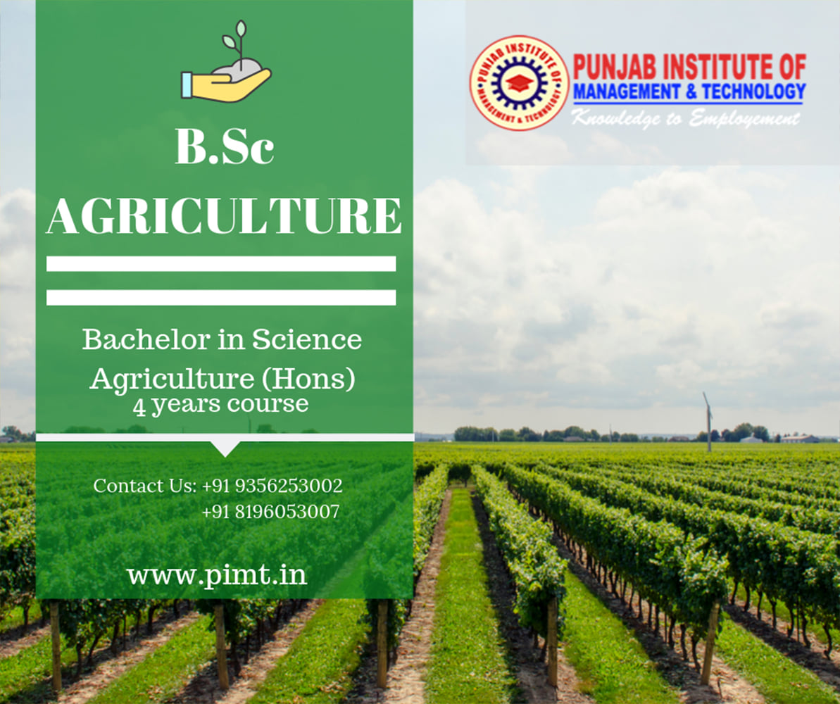 Top bsc agriculture institutes in punjab | PIMT