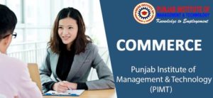 commerce colleges in punjab