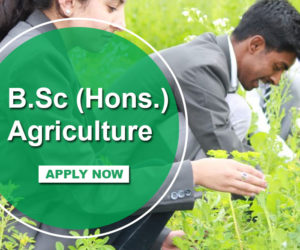 B.Sc Agriculture Course in Punjab India