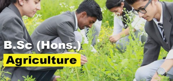 B.Sc Agriculture College In Punjab India - Agriculture Courses Near Me