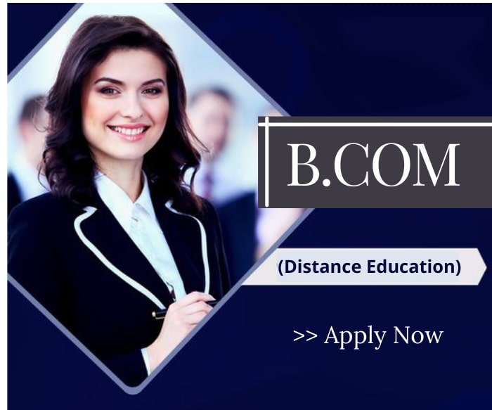 B.Com Distance Education Course in Punjab India