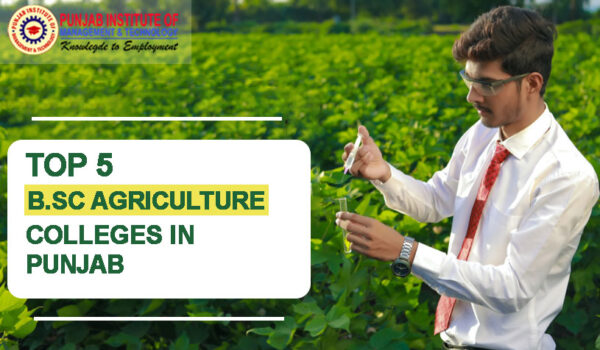 Top 5 B.Sc Agriculture Colleges In Punjab