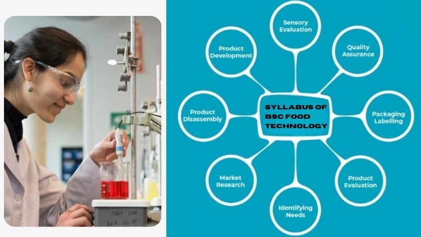 syllabus of bsc food technology (1)