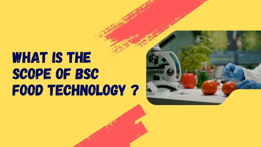 What is the scope of BSC food Technology